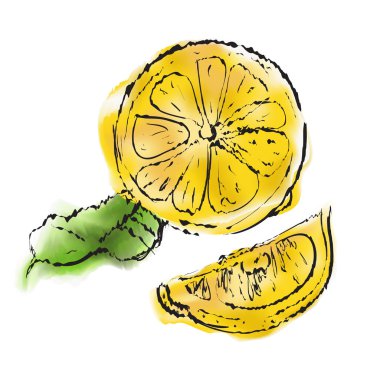 El beyaz arka plan üzerinde vektör suluboya resim çekilmiş. Vektör