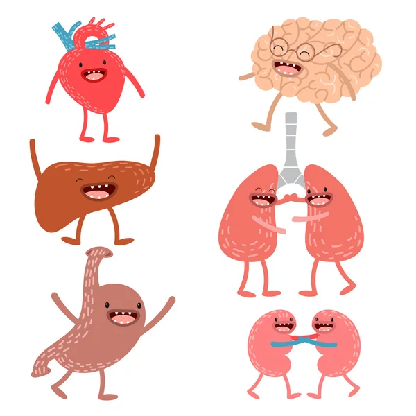 Anatomía humana de dibujos animados vectoriales. Conjunto de hígado sano, corazón, brai — Archivo Imágenes Vectoriales