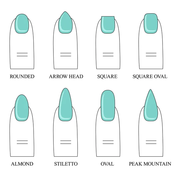 283 Nail shapes Vector Images | Depositphotos