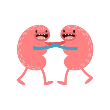 Vektör karikatür insan anatomisi. Sağlıklı böbrekler