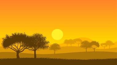 Afrika Dağ Ormanı Günbatımı Savannah Afrika