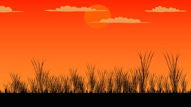 Afrika savanası Günbatımı savanası Afrika