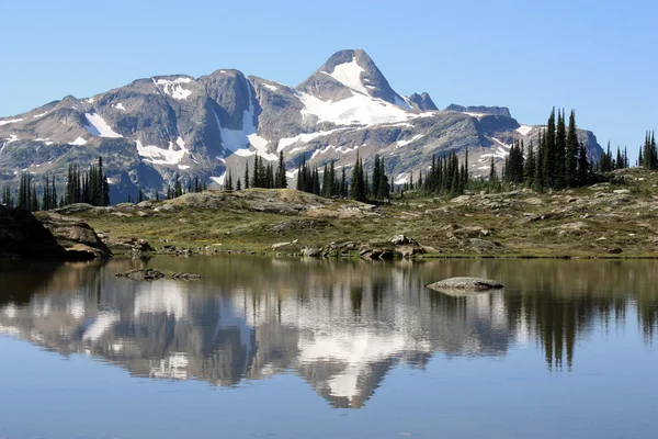 Paesaggio nel Parco Provinciale di Monashee . — Foto Stock