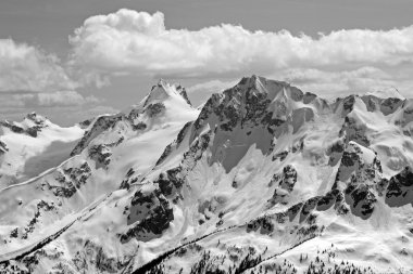 Siyah beyaz görünümü Joffre grubunun.