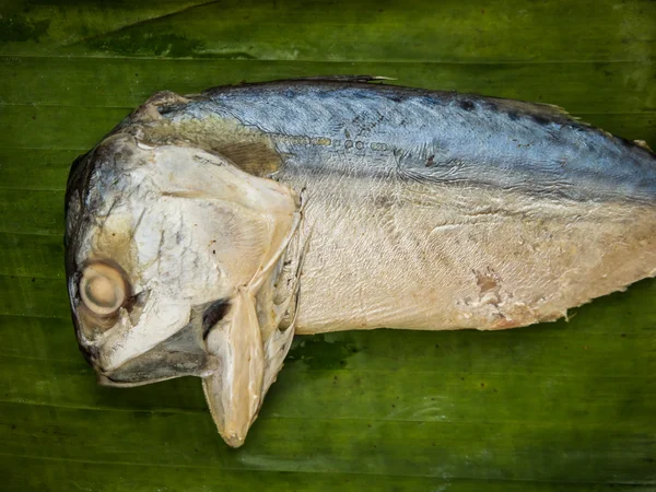 Caballa de cuerpo corto (Rastrelliger brachysoma ) — Foto de Stock