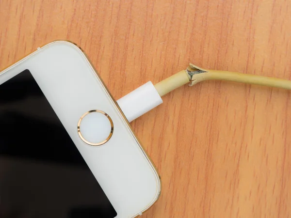 Üstten Görünüm kırık iphone şarj kablosu