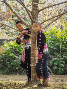 Tepe kabileleri alt ağacının altında