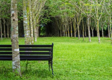 Yeşil renk bahçede yalnız vintage tezgah