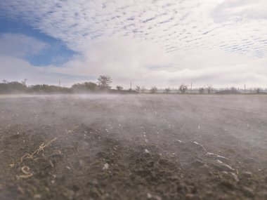 Puslu Tarla Şafak 'ta. Kamera yerden alçaktan uçuyor..