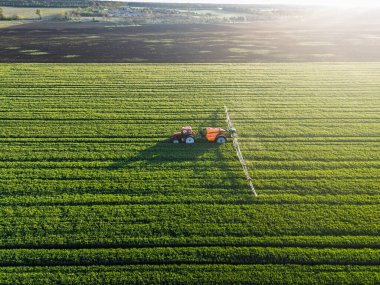 Tarım alanı püskürtene kadar yeşil olmaz. Yeşil yapraklı bitkiler tarlanın yanında yetişir.
