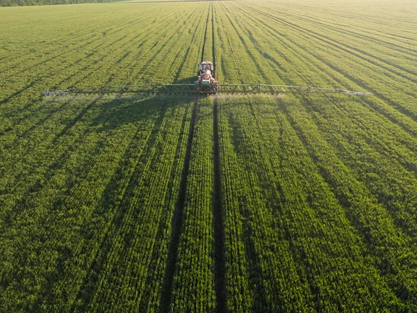 Traktör, mısır tarlasına böcek ilacı püskürtüyor. Bahar havası manzarasında püskürtücüyle..