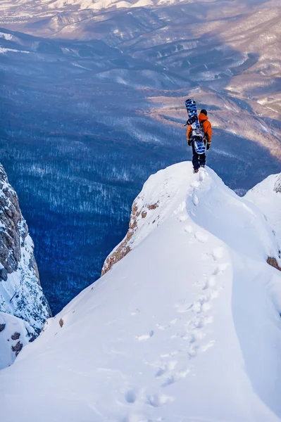 dağlarda Snowboarder.