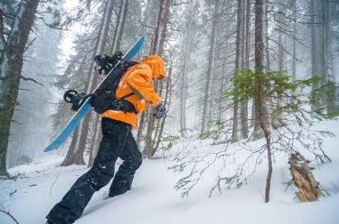 Ormandaki Snowboarder.