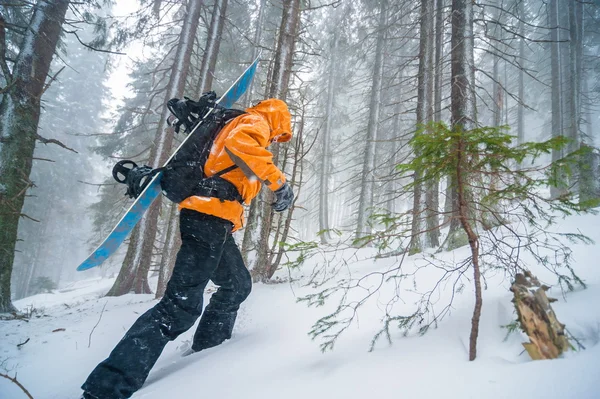 Ormandaki Snowboarder.