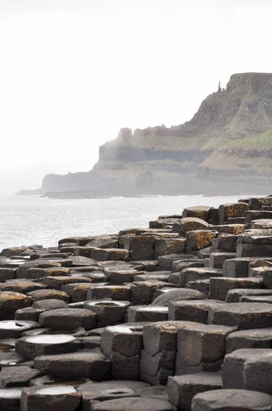 Devler causeway İrlanda