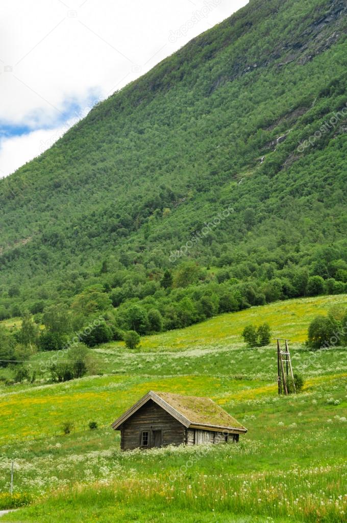 Norway country side grass house