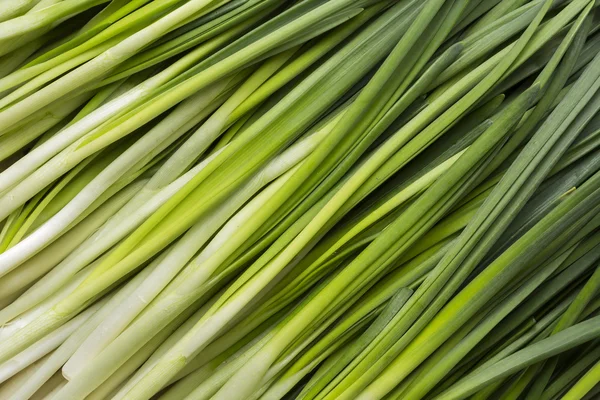 Hojas de cebolla de cerca —  Fotos de Stock