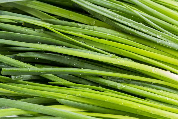 Leaves of green fresh onion — Stock Photo, Image