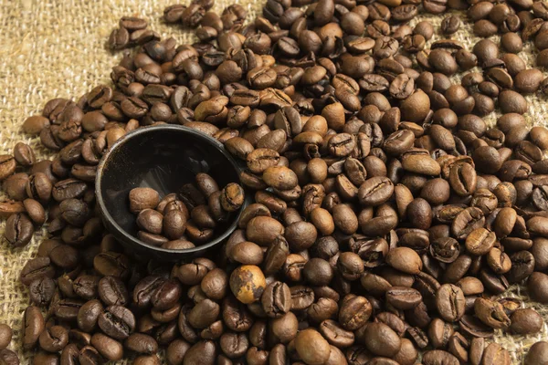 Cucharada y granos de café — Foto de Stock