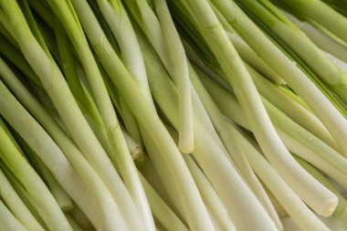 frenk soğanı taze yaprakları 