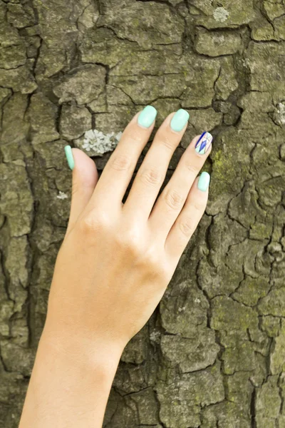 La mano de la chica en el árbol — Foto de Stock