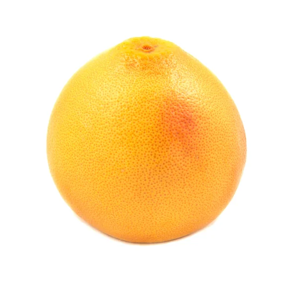 Grapefruit, isoliert auf weiß — Stockfoto