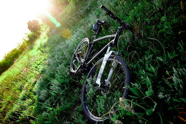 Bicicleta en el bosque — Foto de Stock