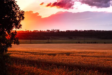 yolculuk ile alanlar 4