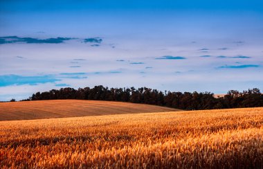 yolculuk ile 2 alanlar