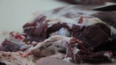 Bıçaklı bir erkek kasap, düşen bir geyiğin leşinden et parçaları kesiyor ya da geyik yumurtluyor. Avcı avlandıktan sonra bir geyik leşini bıçakla keser. Vahşi geyikleri doğramak.
