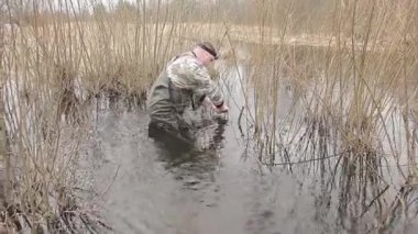Bir erkek avcı bir kunduz için metal bir tuzak kurar. Nehir kıyısındaki bir tuzağın içinde kunduz avı. Tuzaklı kunduz avı.