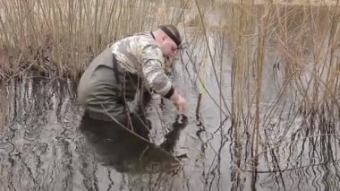 Bir erkek avcı bir kunduz için metal bir tuzak kurar. Nehir kıyısındaki bir tuzağın içinde kunduz avı. Tuzaklı kunduz avı.