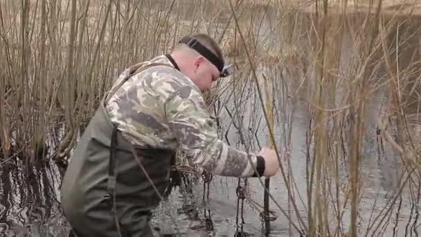 Мужчина-охотник ставит металлическую ловушку для бобра. Бобры охотятся в ловушке на берегу реки. Охота на бобов с помощью ловушки. — стоковое видео
