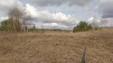 Avcı bir sülünü silahla vuruyor. Tüfekle ateş eden ilk kişi. Bir adam kuş avlar.