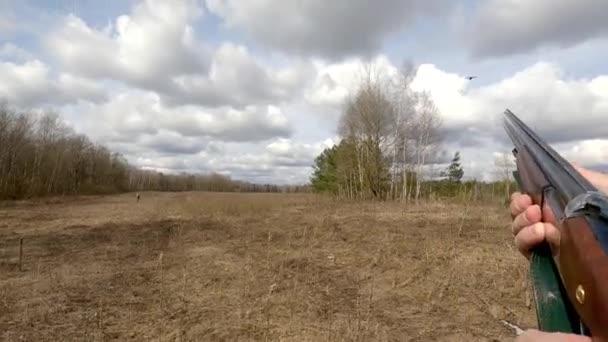 A vadász lelő egy fácánt egy pisztollyal. Az első ember, aki puskával lőtt. Egy ember vadászik egy madárra. — Stock videók