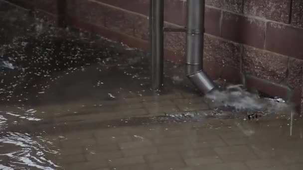 Close-up van een afvoerkanaal of stormrooster tijdens een regenbui. Rioolwater voor onweer. — Stockvideo