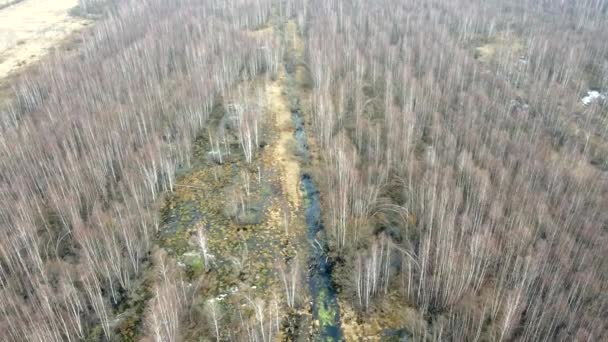 Pântanos na Europa. Fotografia aérea da vida selvagem, rios e pântanos na Europa. Paisagem de turfa com plantas herbáceas e árvores. Bela paisagem de primavera de floresta de zonas húmidas no norte da Europa. — Vídeo de Stock