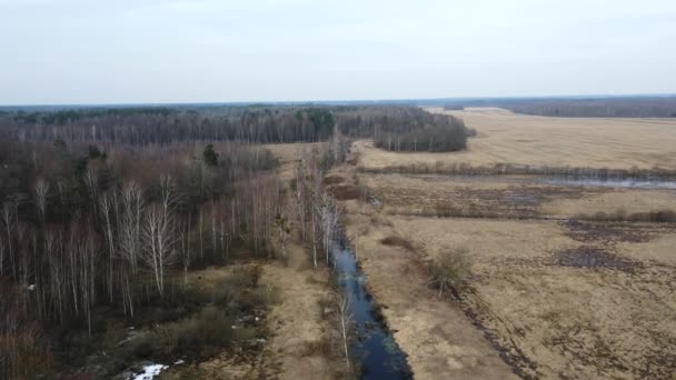 Pântanos na Europa. Fotografia aérea da vida selvagem, rios e pântanos na Europa. Paisagem de turfa com plantas herbáceas e árvores. Bela paisagem de primavera de floresta de zonas húmidas no norte da Europa. — Vídeo de Stock