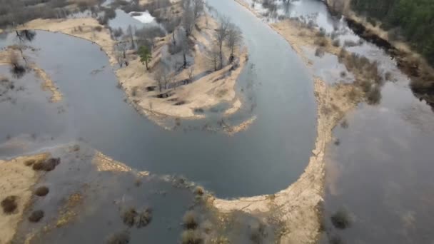 Inundação de primavera do rio. Inundação de primavera de um grande rio de uma visão de olho de pássaros. A Europa. Bancos de rios inundados em árvores de primavera são refletidos na inundação de água, o rio transbordou suas margens — Vídeo de Stock