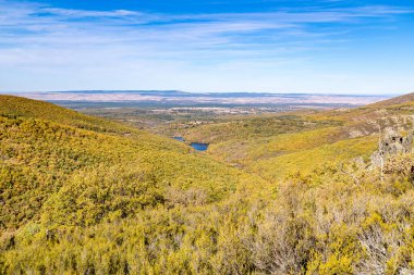 Stream Oak Ormanı Sonbahar Sezonu, Hayedo de la Pedrosa Doğal Koruma Alanı, Riofrio de Riaza, Segovia, İspanya
