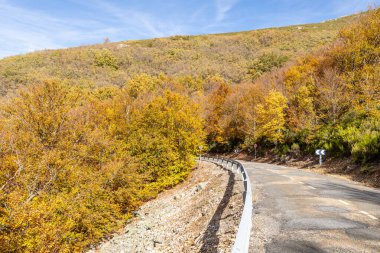 Stream Oak Ormanı Sonbahar Sezonu, Hayedo de la Pedrosa Doğal Koruma Alanı, Riofrio de Riaza, Segovia, İspanya