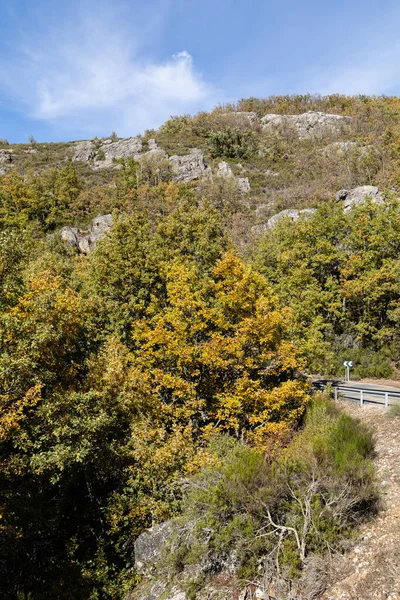 Nehir Kayısı Ormanı, Hayedo de la Pedrosa Doğal Koruma Alanı, Kayın Ormanı Sonbahar Mevsimi