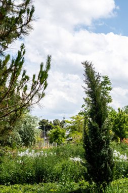Madrid, İspanya, - 03 Mayıs 2021: Madrid 'deki Finca de Vista Alegre adlı halk bahçeleri, İspanya
