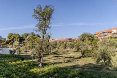 Madrid, İspanya - 10 Ekim 2022 Madrid 'deki Finca de Vista Alegre adlı halk bahçeleri, İspanya