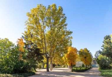 Madrid, İspanya, - 10 Kasım 2022: Madrid 'deki Finca de Vista Alegre adlı halk bahçeleri, İspanya