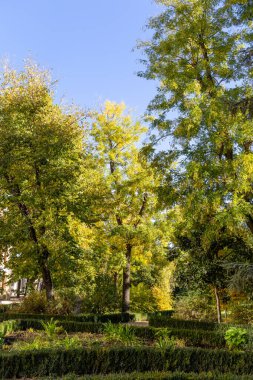 Madrid, İspanya, - 10 Kasım 2022: Madrid 'deki Finca de Vista Alegre adlı halk bahçeleri, İspanya