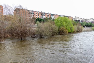 Manzanares Nehri, Madrid 'in bazı bölgelerinde Mart 2025' te yağan yağmurlar nedeniyle taşmak üzere.