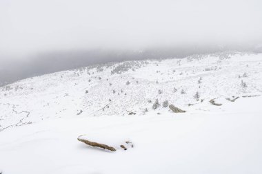 Aralık 2025 'te Madrid' deki Sierra de Guadarrama dağları Cotos dağ geçidinde kar yağışı sırasında