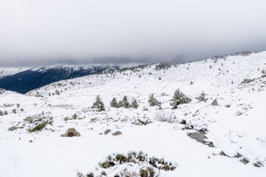 Aralık 2025 'te Madrid' deki Sierra de Guadarrama dağları Cotos dağ geçidinde kar yağışı sırasında