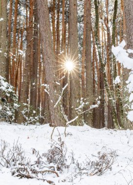 Snowy landscape of mountains port of Canencia in Madrid, Spain